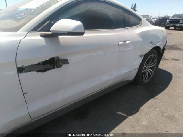 Photo 5 VIN: 1FA6P8TH4F5356541 - FORD MUSTANG 