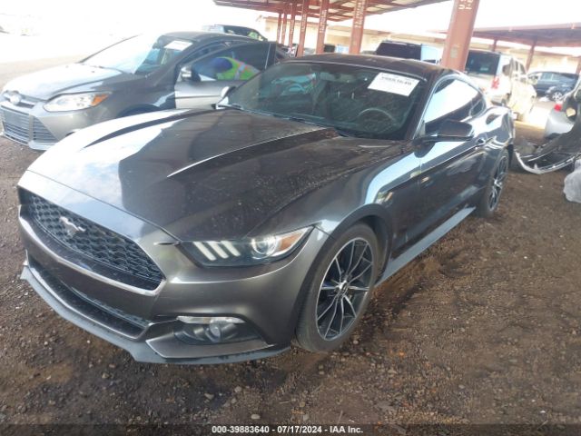 Photo 1 VIN: 1FA6P8TH4F5370875 - FORD MUSTANG 