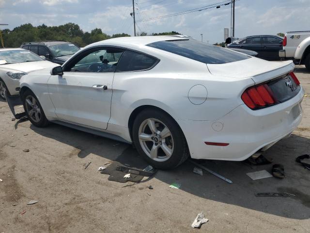 Photo 1 VIN: 1FA6P8TH4F5417144 - FORD MUSTANG 