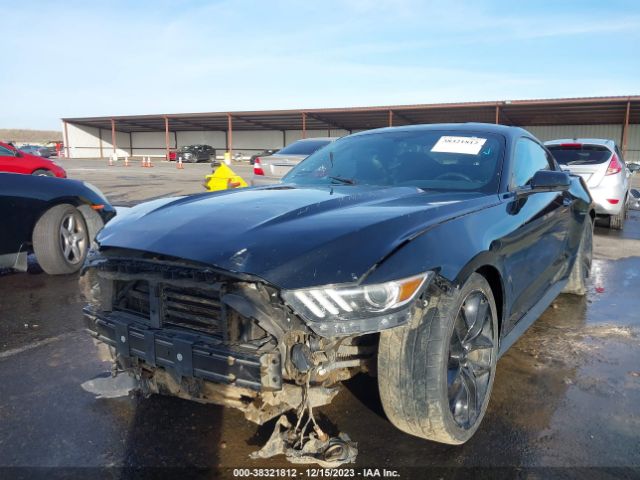 Photo 5 VIN: 1FA6P8TH4G5221500 - FORD MUSTANG 