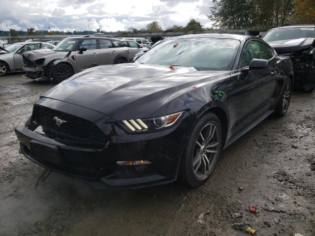 Photo 1 VIN: 1FA6P8TH4G5257395 - FORD MUSTANG 