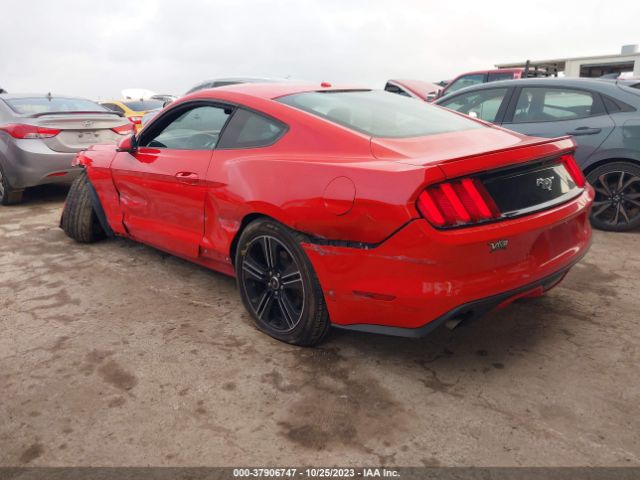 Photo 2 VIN: 1FA6P8TH4G5260409 - FORD MUSTANG 