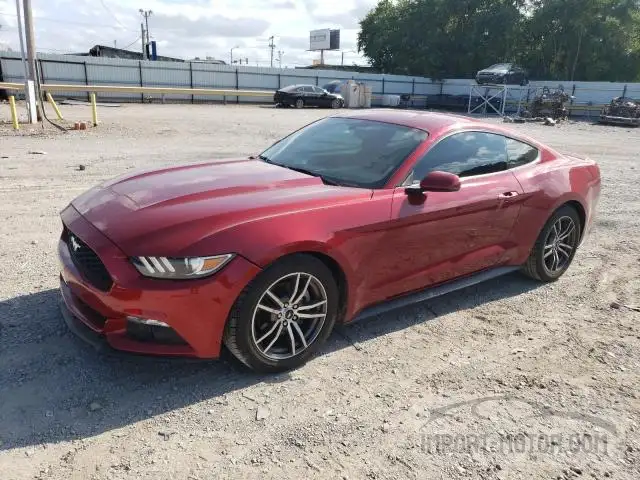 Photo 0 VIN: 1FA6P8TH4G5279056 - FORD MUSTANG 