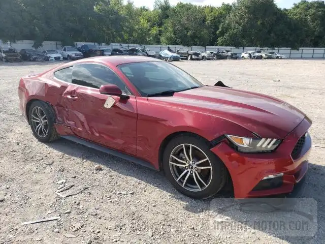 Photo 3 VIN: 1FA6P8TH4G5279056 - FORD MUSTANG 