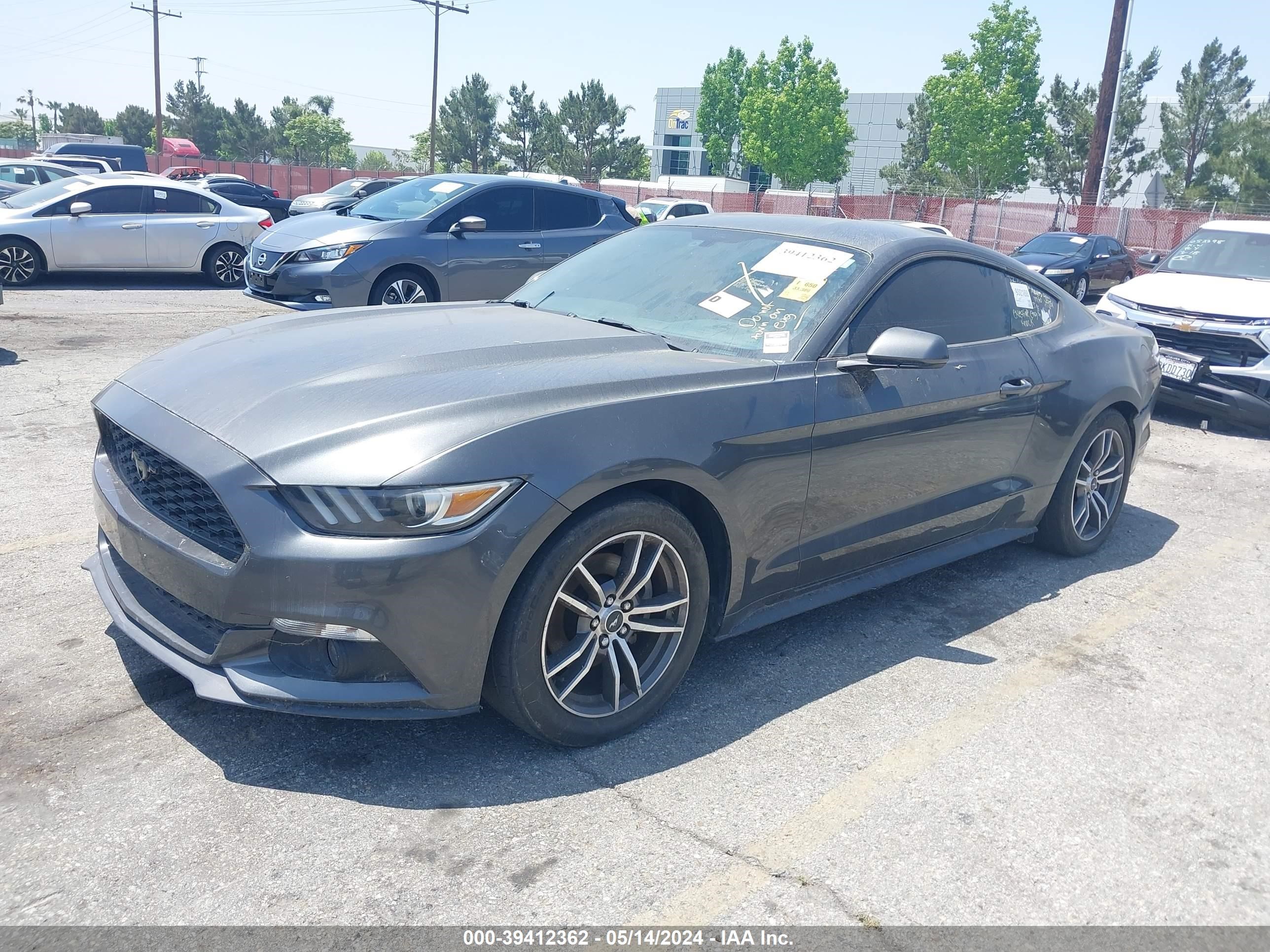 Photo 1 VIN: 1FA6P8TH4G5303890 - FORD MUSTANG 