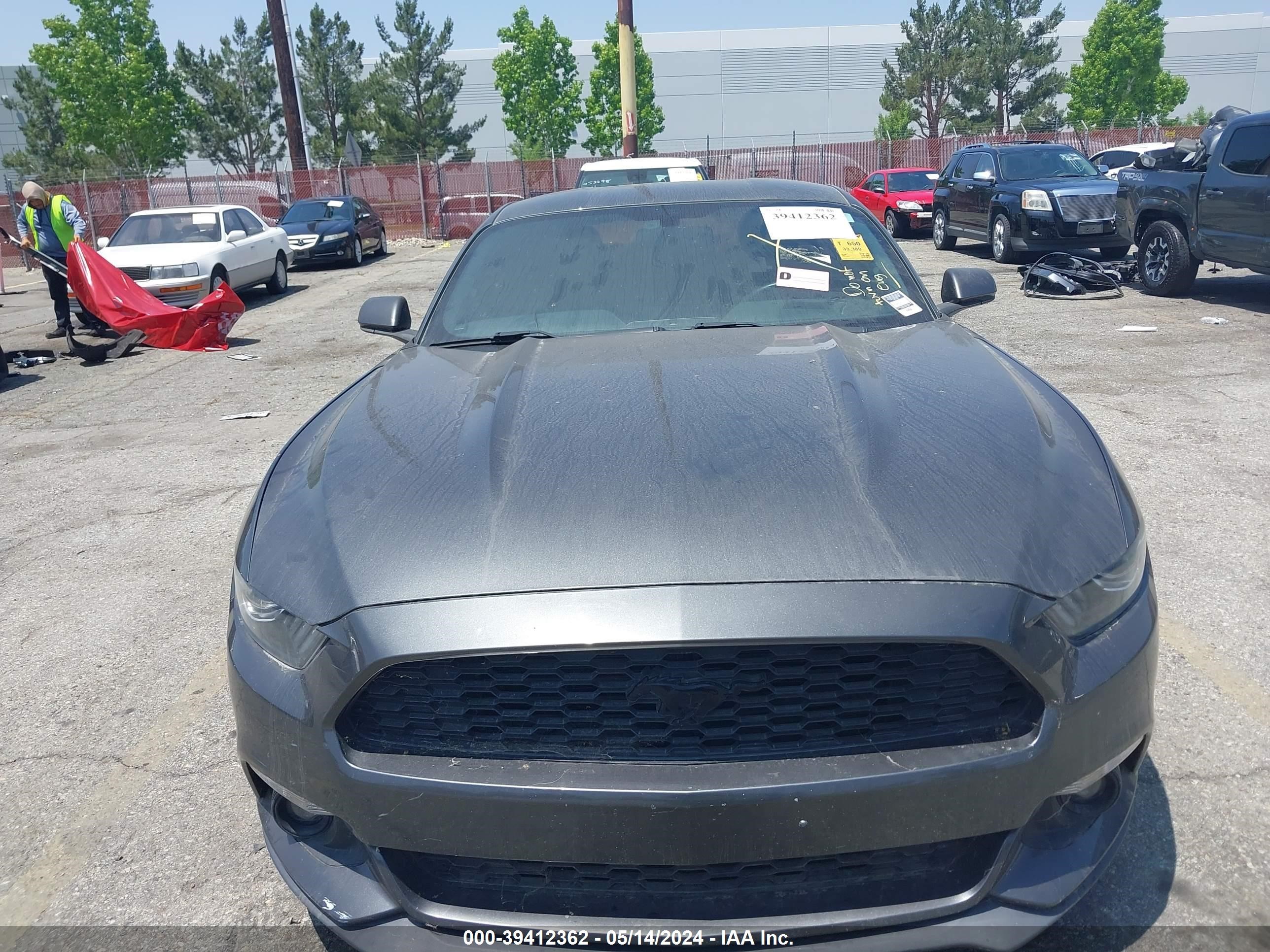 Photo 11 VIN: 1FA6P8TH4G5303890 - FORD MUSTANG 