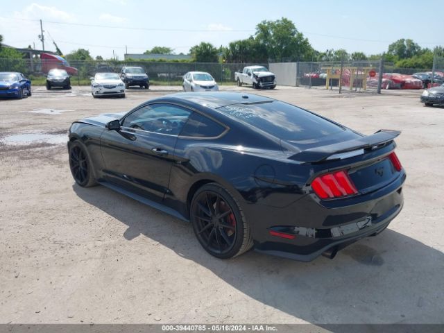 Photo 2 VIN: 1FA6P8TH4G5304991 - FORD MUSTANG 