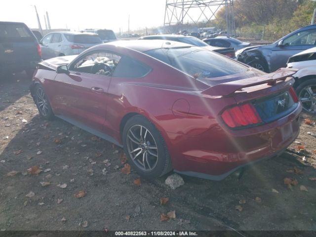 Photo 2 VIN: 1FA6P8TH4G5305011 - FORD MUSTANG 