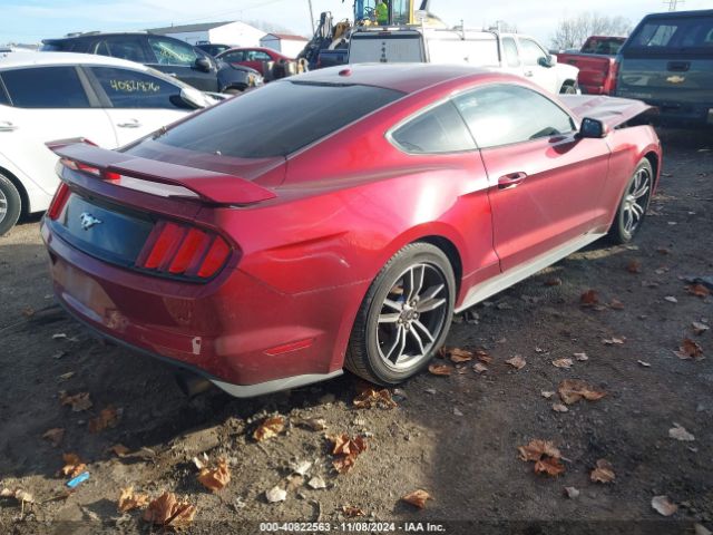 Photo 3 VIN: 1FA6P8TH4G5305011 - FORD MUSTANG 