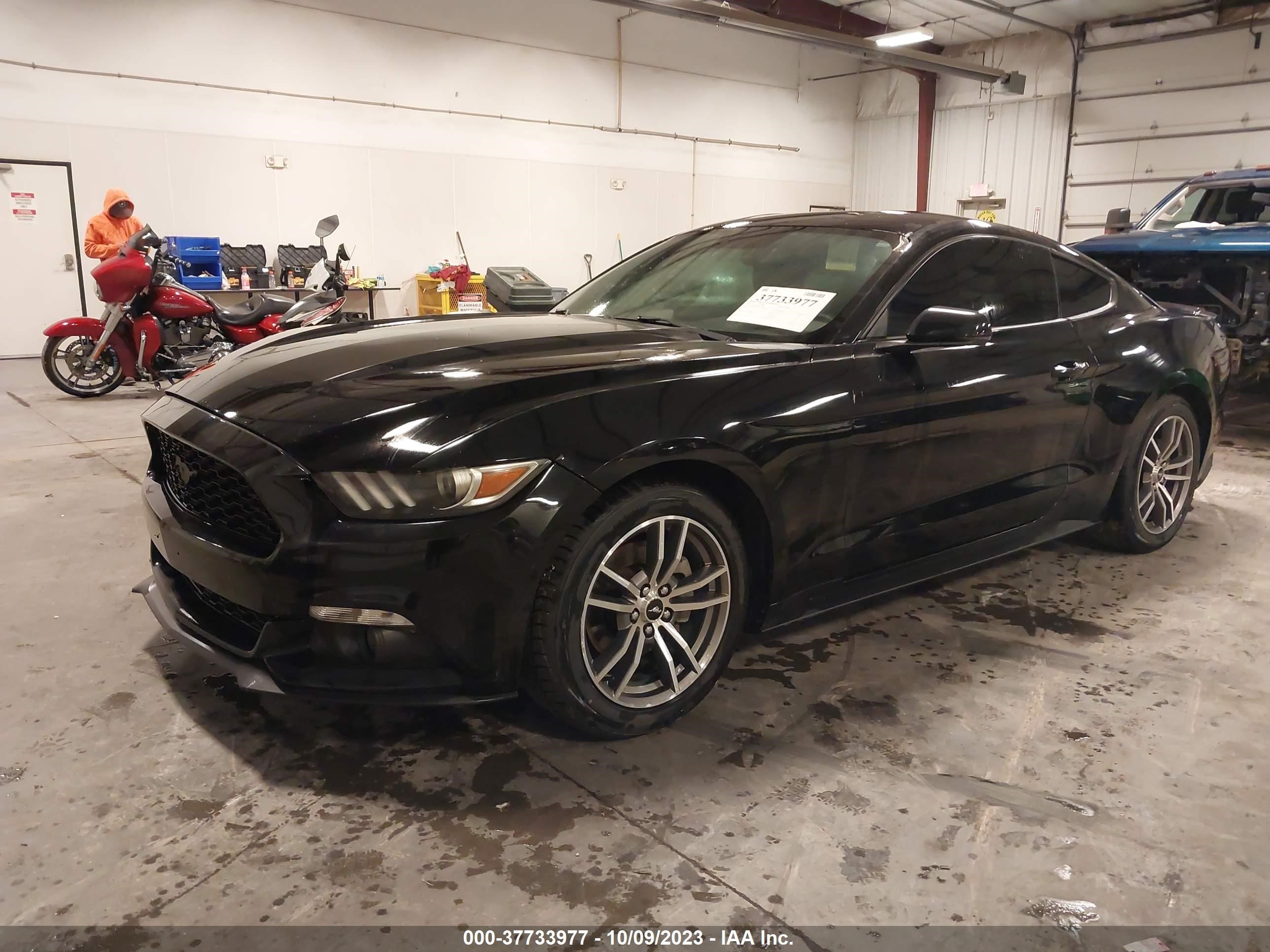 Photo 1 VIN: 1FA6P8TH4G5326389 - FORD MUSTANG 