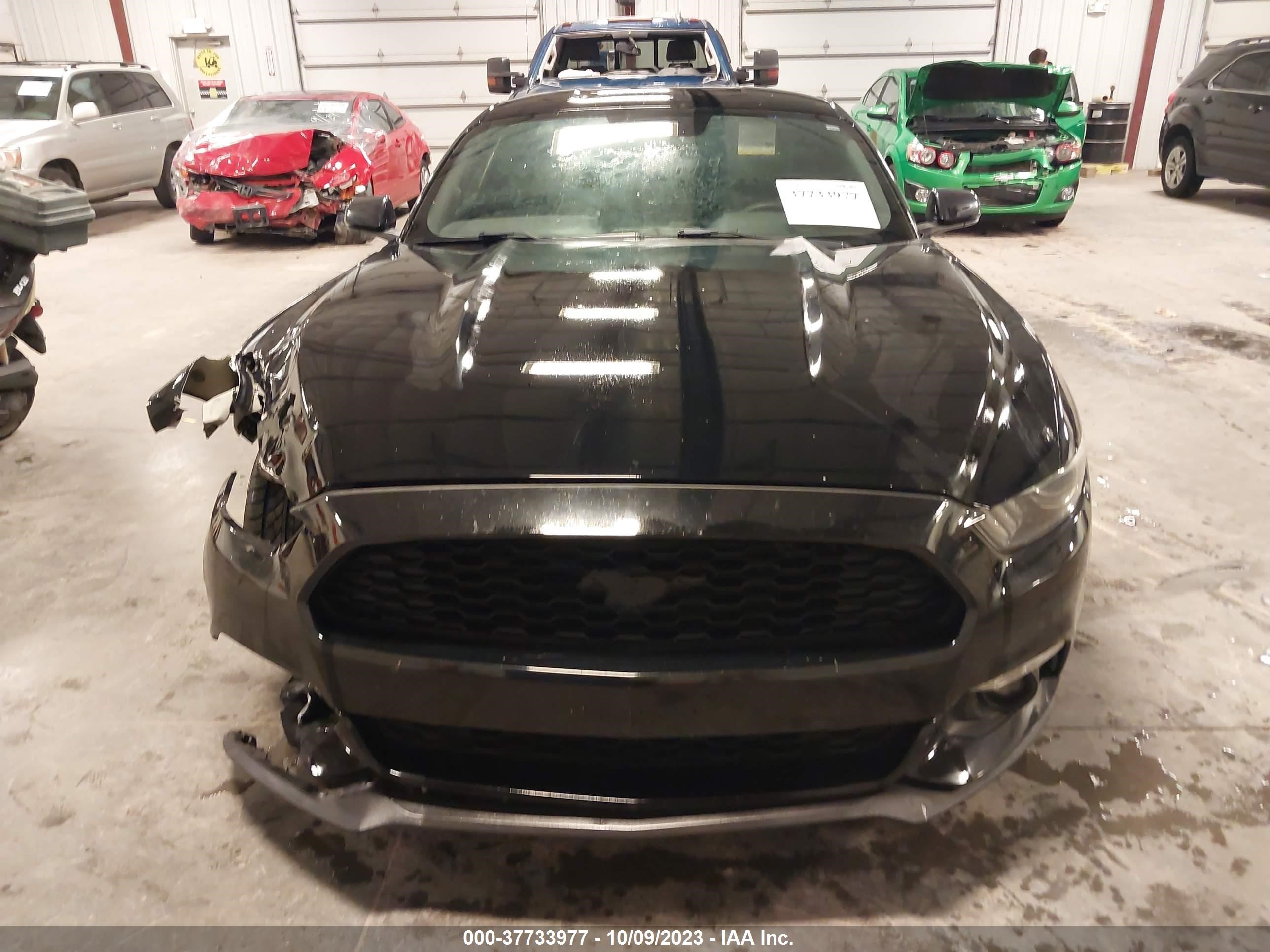 Photo 11 VIN: 1FA6P8TH4G5326389 - FORD MUSTANG 