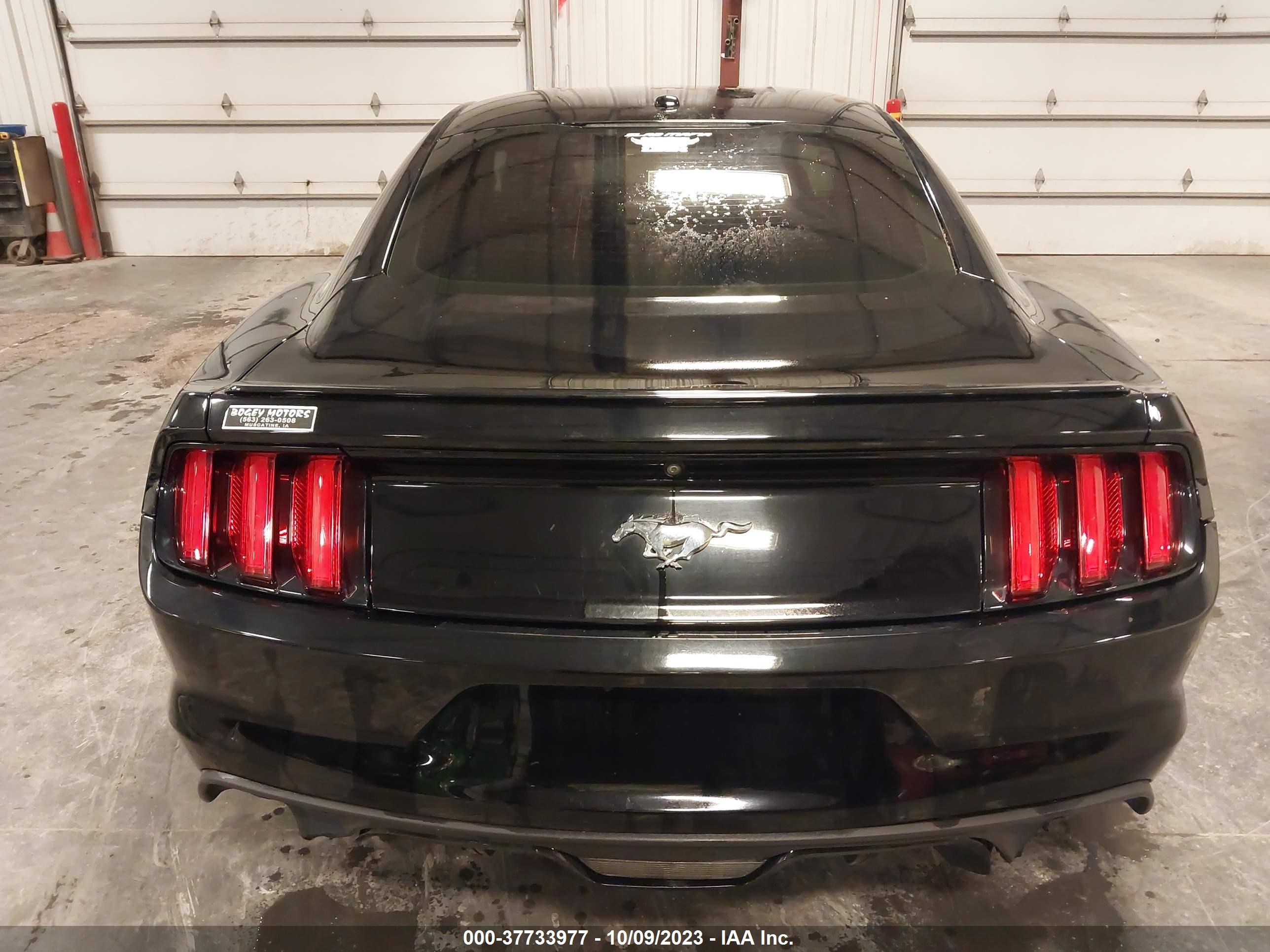 Photo 15 VIN: 1FA6P8TH4G5326389 - FORD MUSTANG 