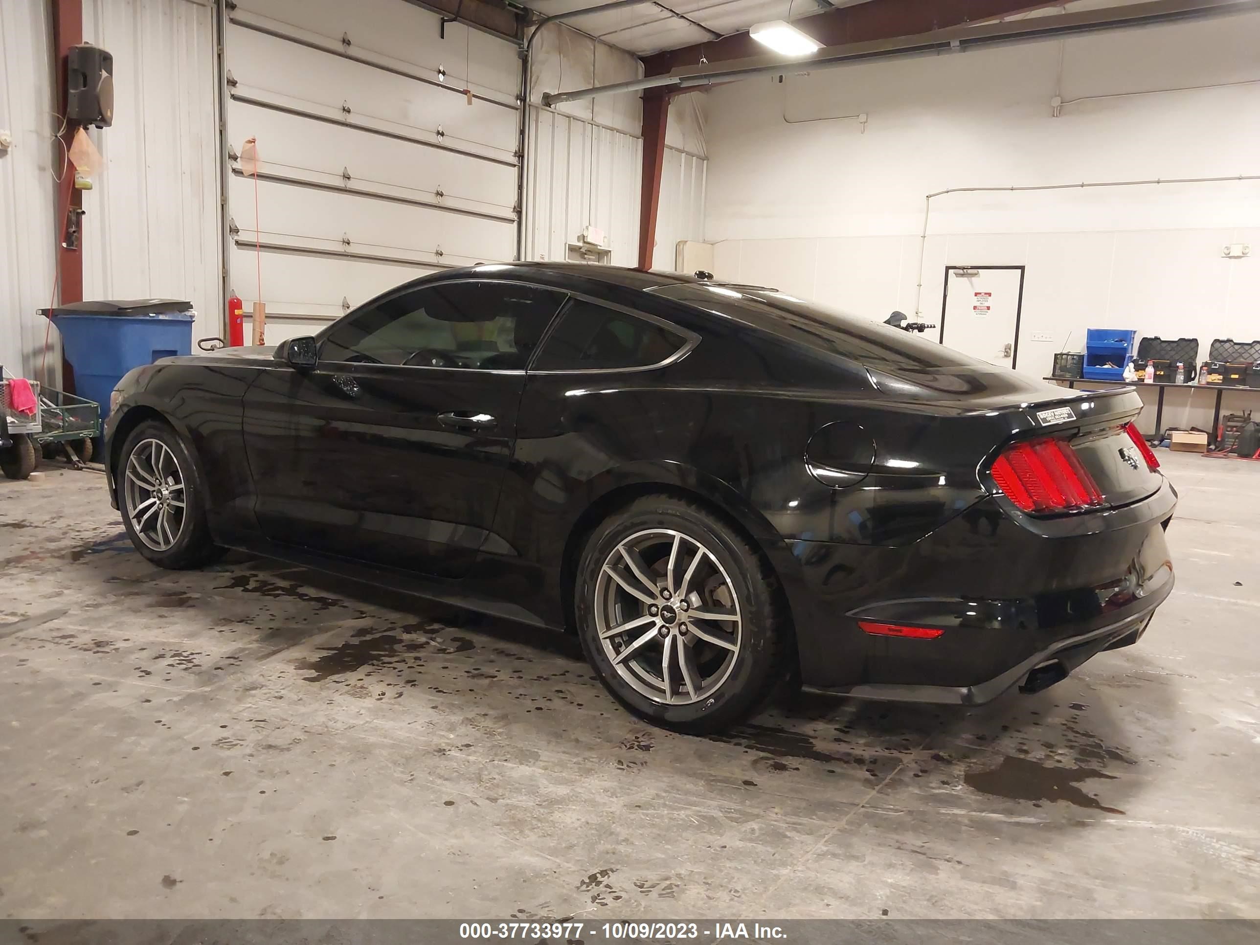 Photo 2 VIN: 1FA6P8TH4G5326389 - FORD MUSTANG 