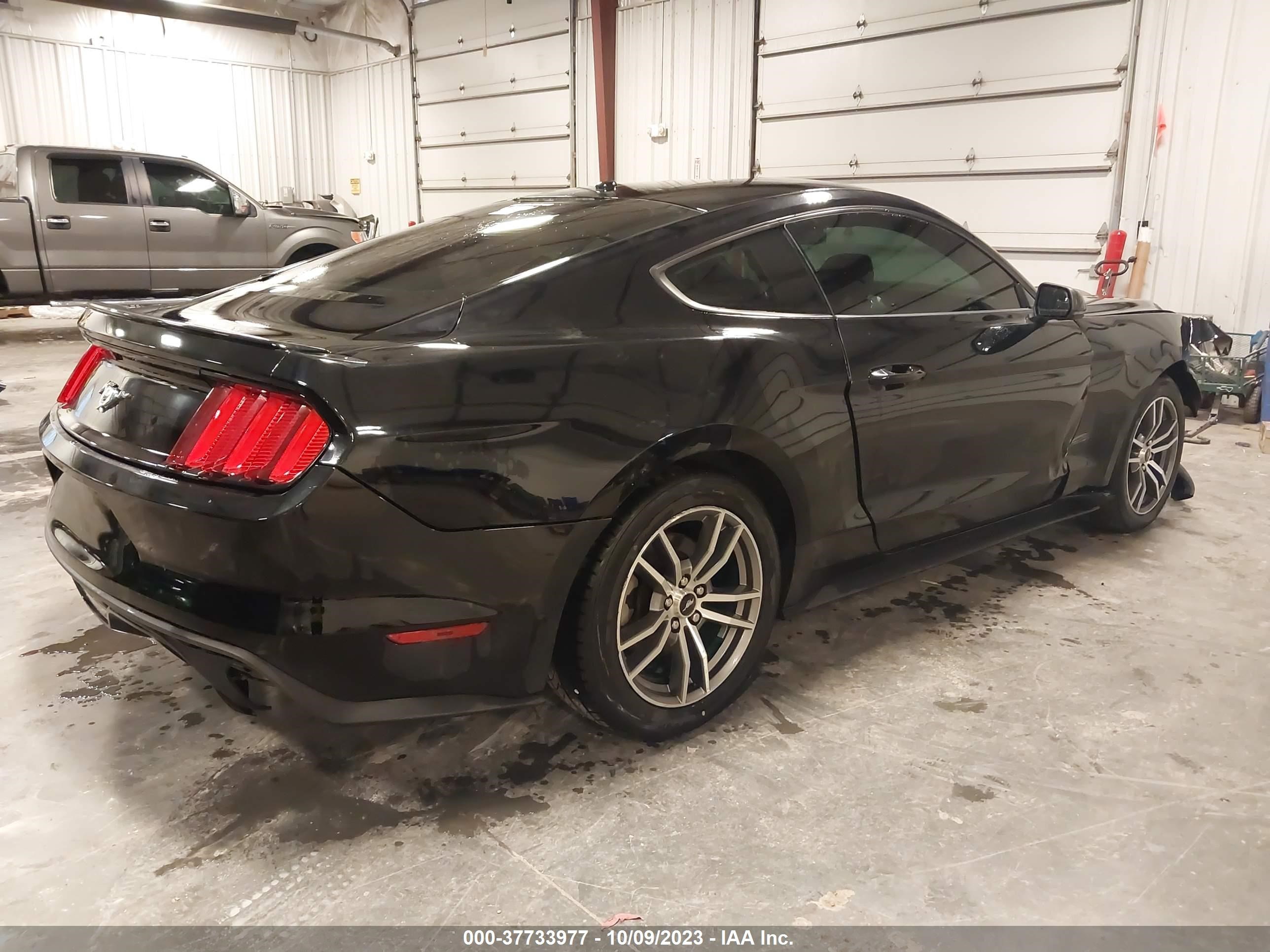 Photo 3 VIN: 1FA6P8TH4G5326389 - FORD MUSTANG 