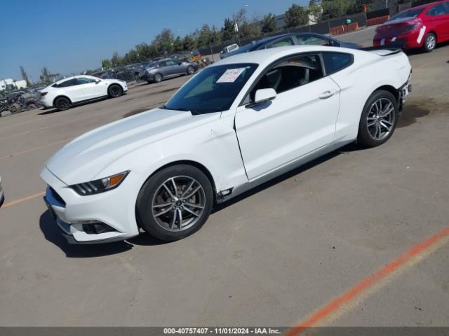 Photo 1 VIN: 1FA6P8TH4H5217870 - FORD MUSTANG 