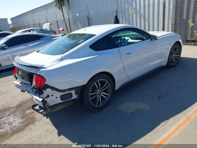 Photo 3 VIN: 1FA6P8TH4H5217870 - FORD MUSTANG 