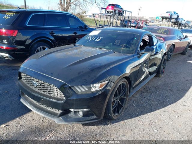 Photo 1 VIN: 1FA6P8TH4H5226763 - FORD MUSTANG 