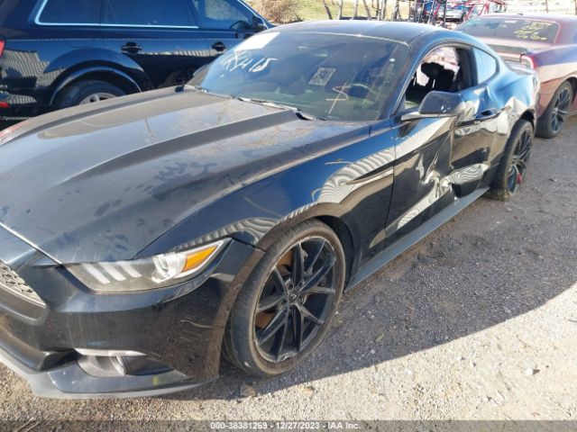 Photo 5 VIN: 1FA6P8TH4H5226763 - FORD MUSTANG 