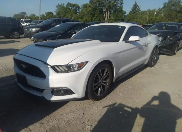 Photo 1 VIN: 1FA6P8TH4H5244969 - FORD MUSTANG 