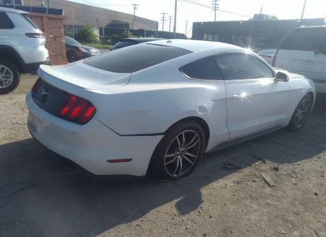 Photo 3 VIN: 1FA6P8TH4H5244969 - FORD MUSTANG 