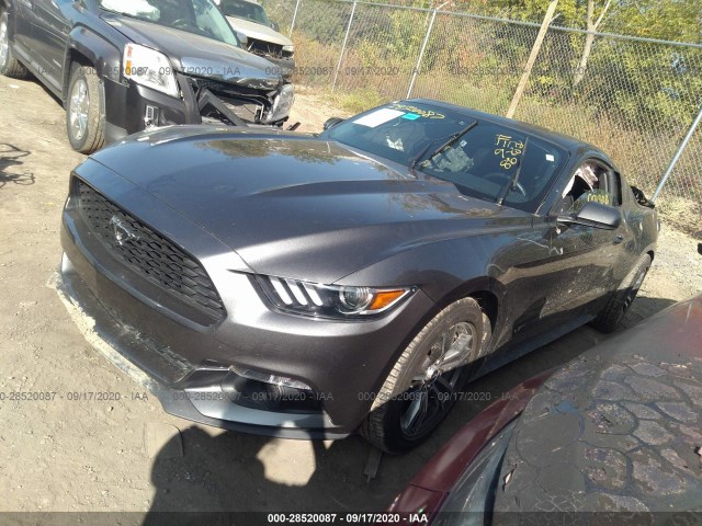 Photo 1 VIN: 1FA6P8TH4H5256958 - FORD MUSTANG 