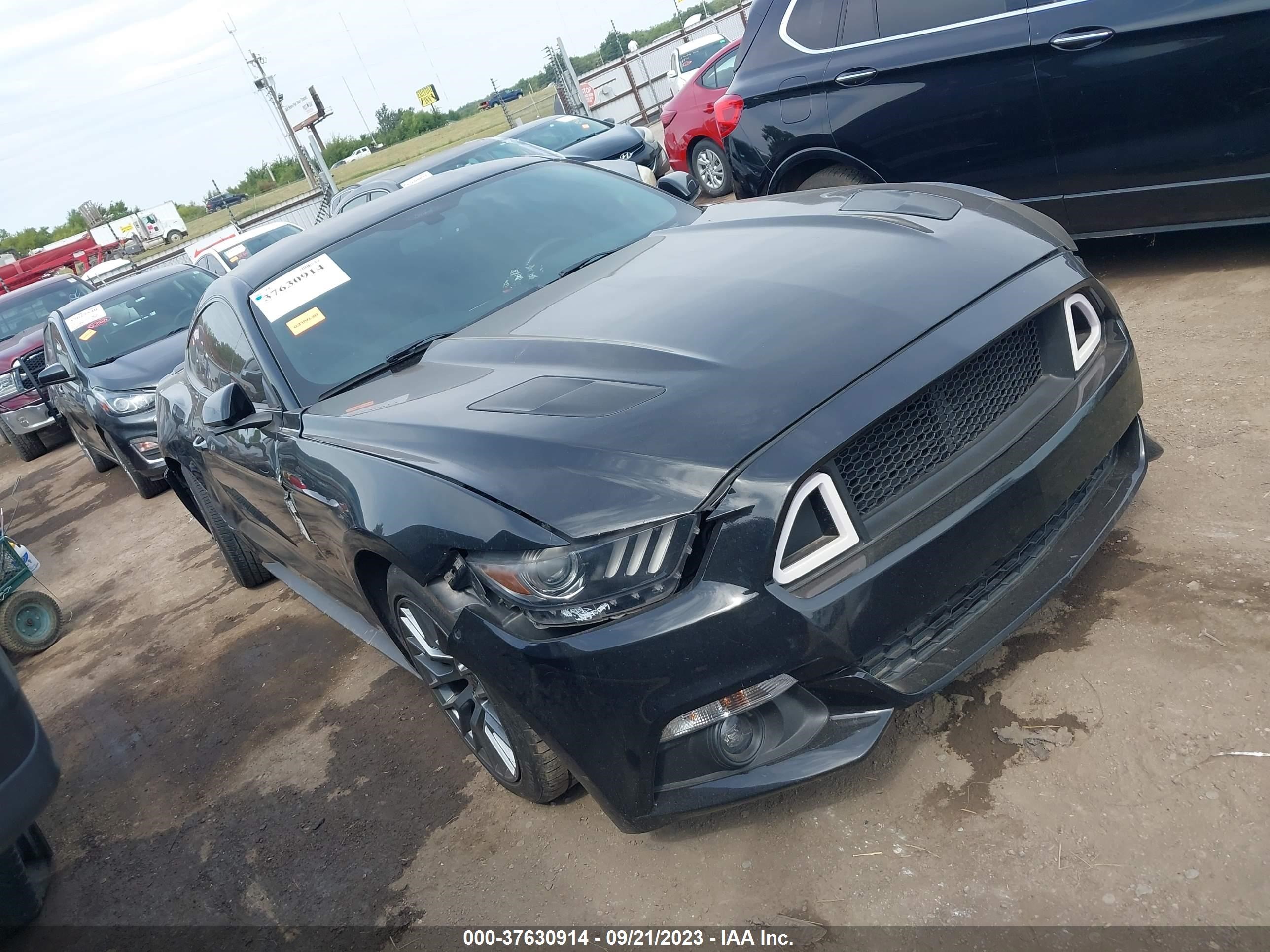 Photo 0 VIN: 1FA6P8TH4H5281911 - FORD MUSTANG 