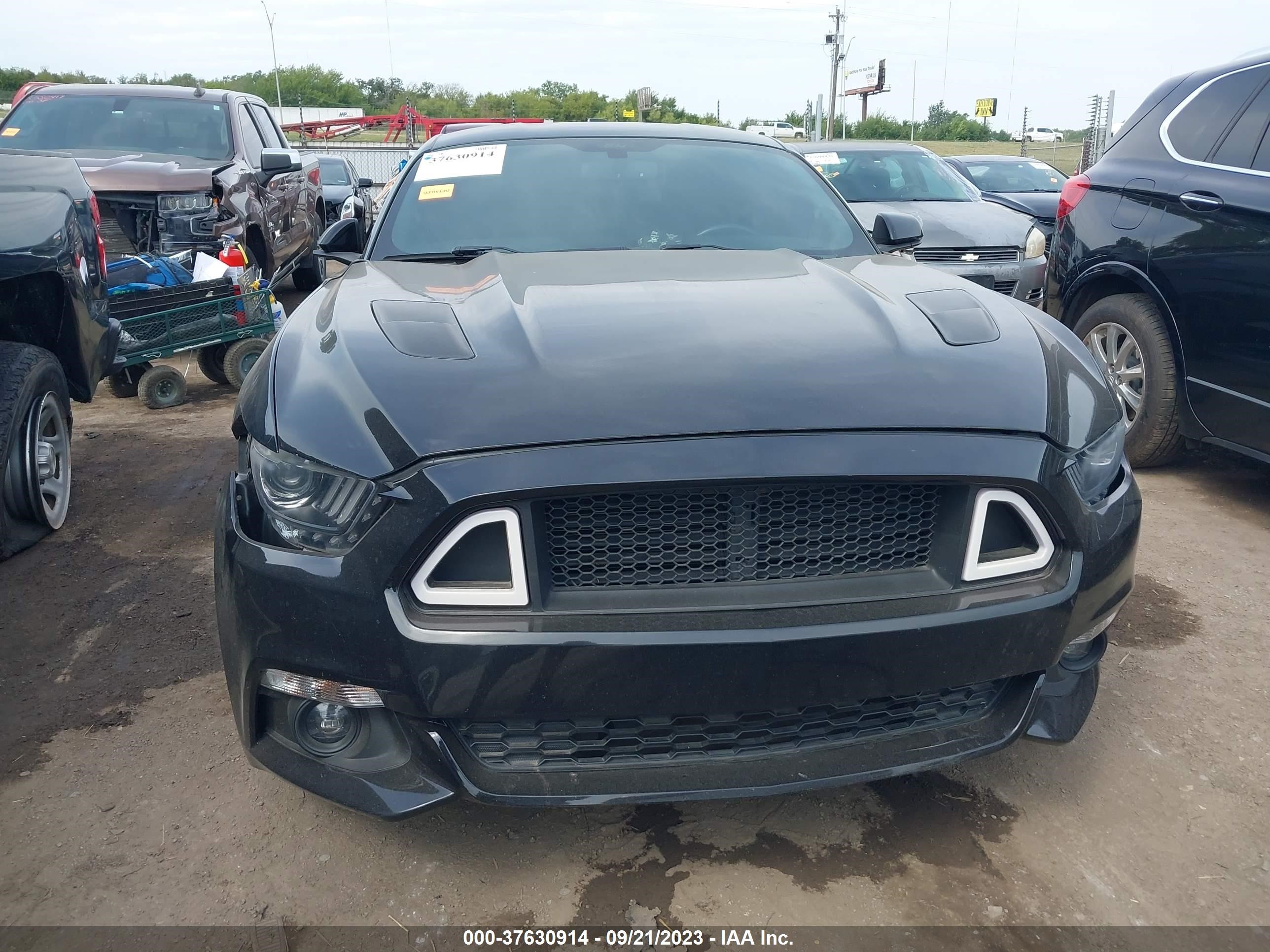 Photo 11 VIN: 1FA6P8TH4H5281911 - FORD MUSTANG 