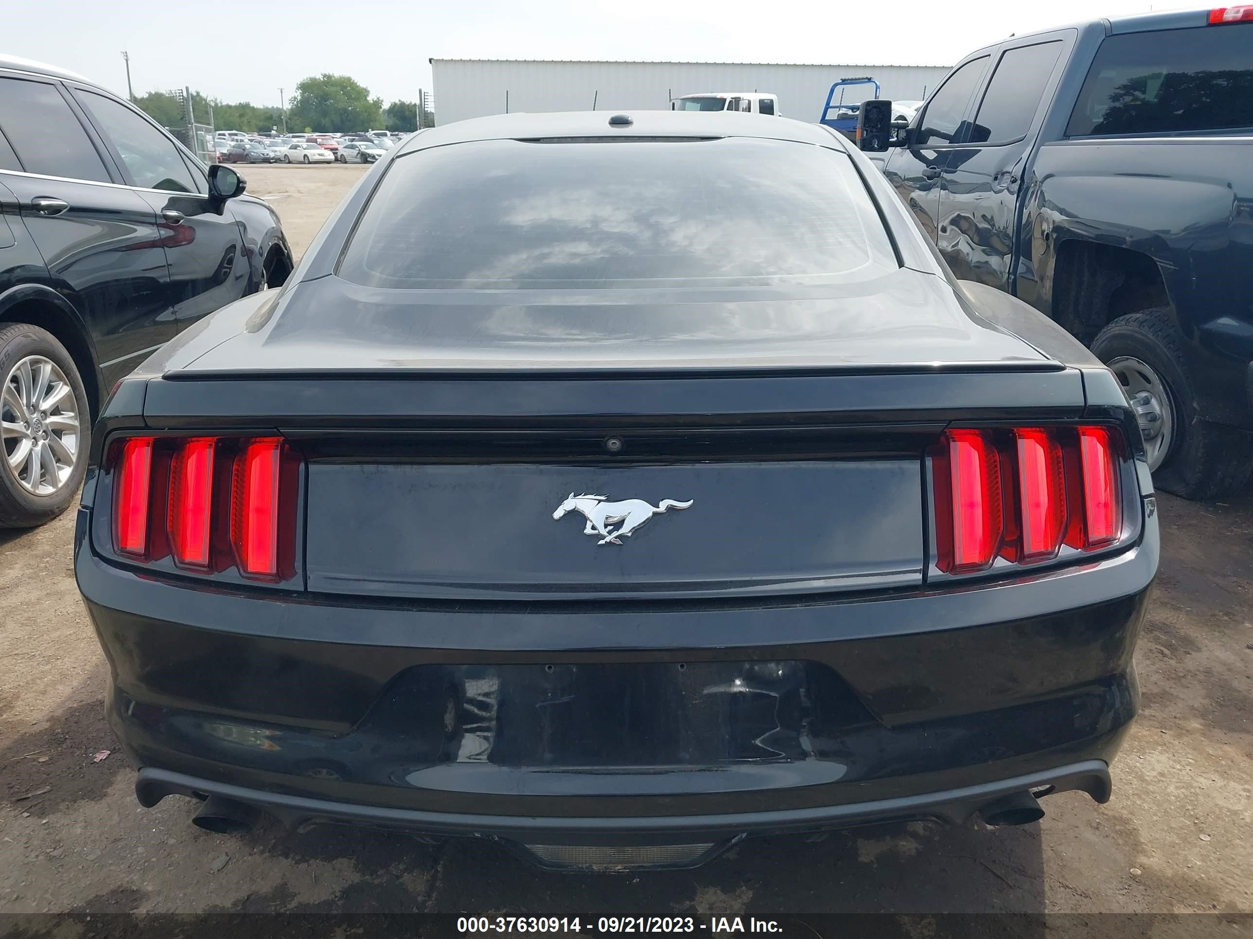 Photo 15 VIN: 1FA6P8TH4H5281911 - FORD MUSTANG 