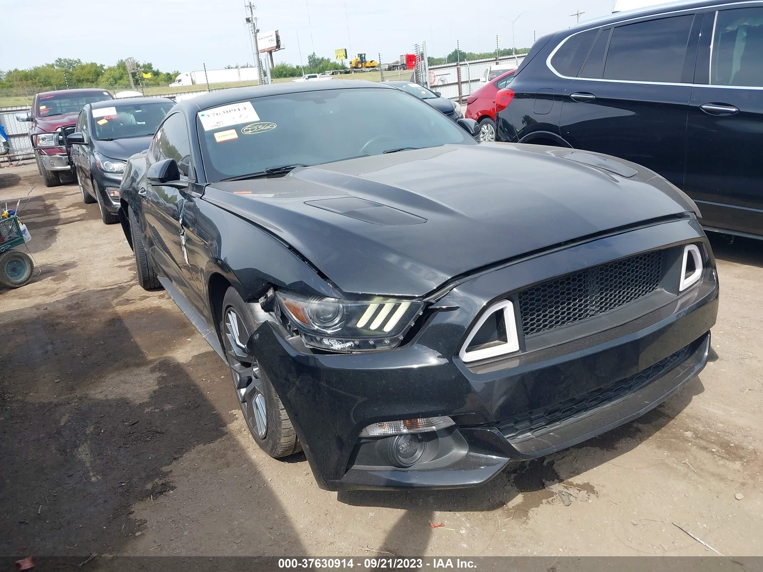 Photo 5 VIN: 1FA6P8TH4H5281911 - FORD MUSTANG 