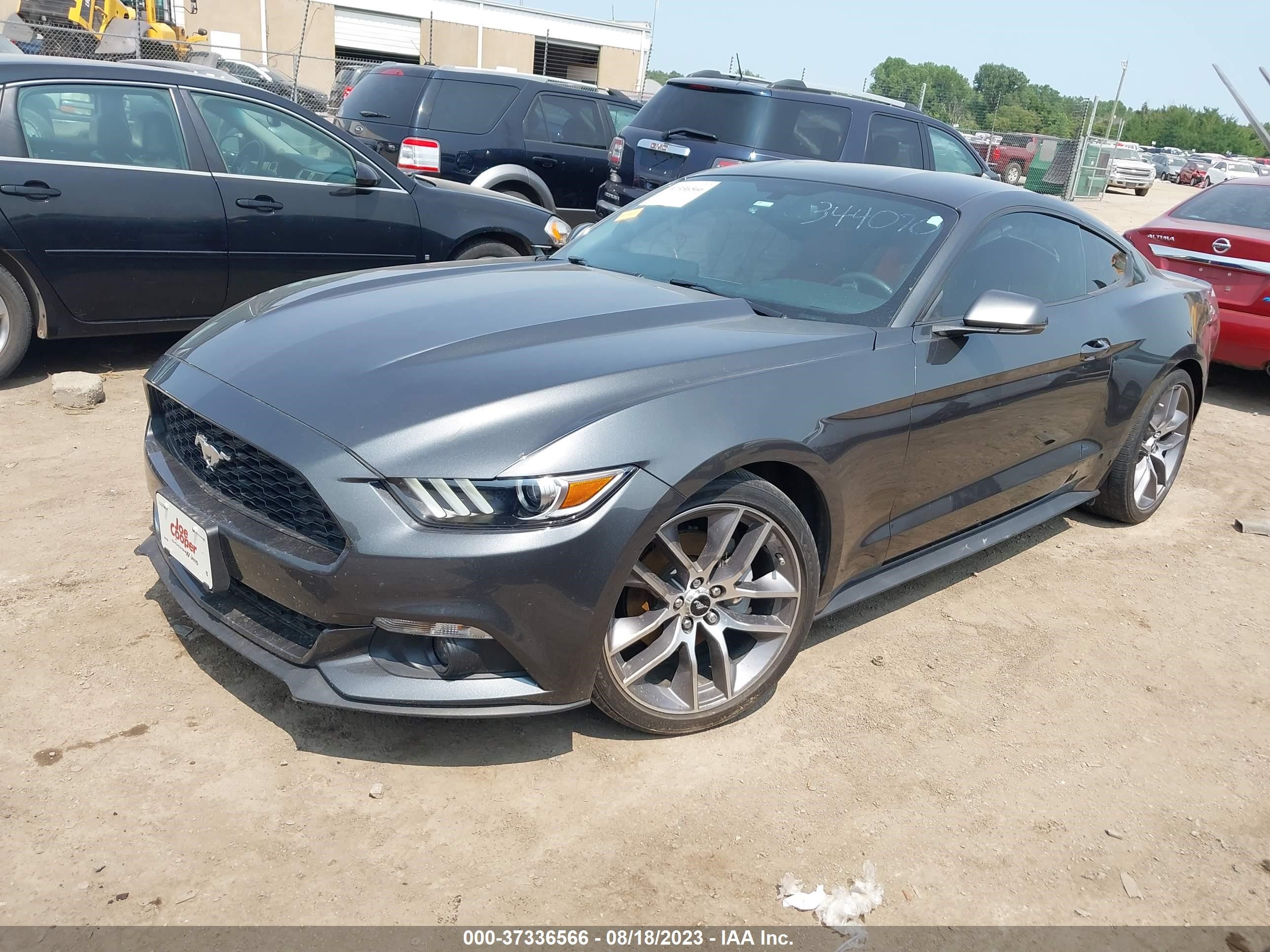 Photo 1 VIN: 1FA6P8TH4H5344070 - FORD MUSTANG 