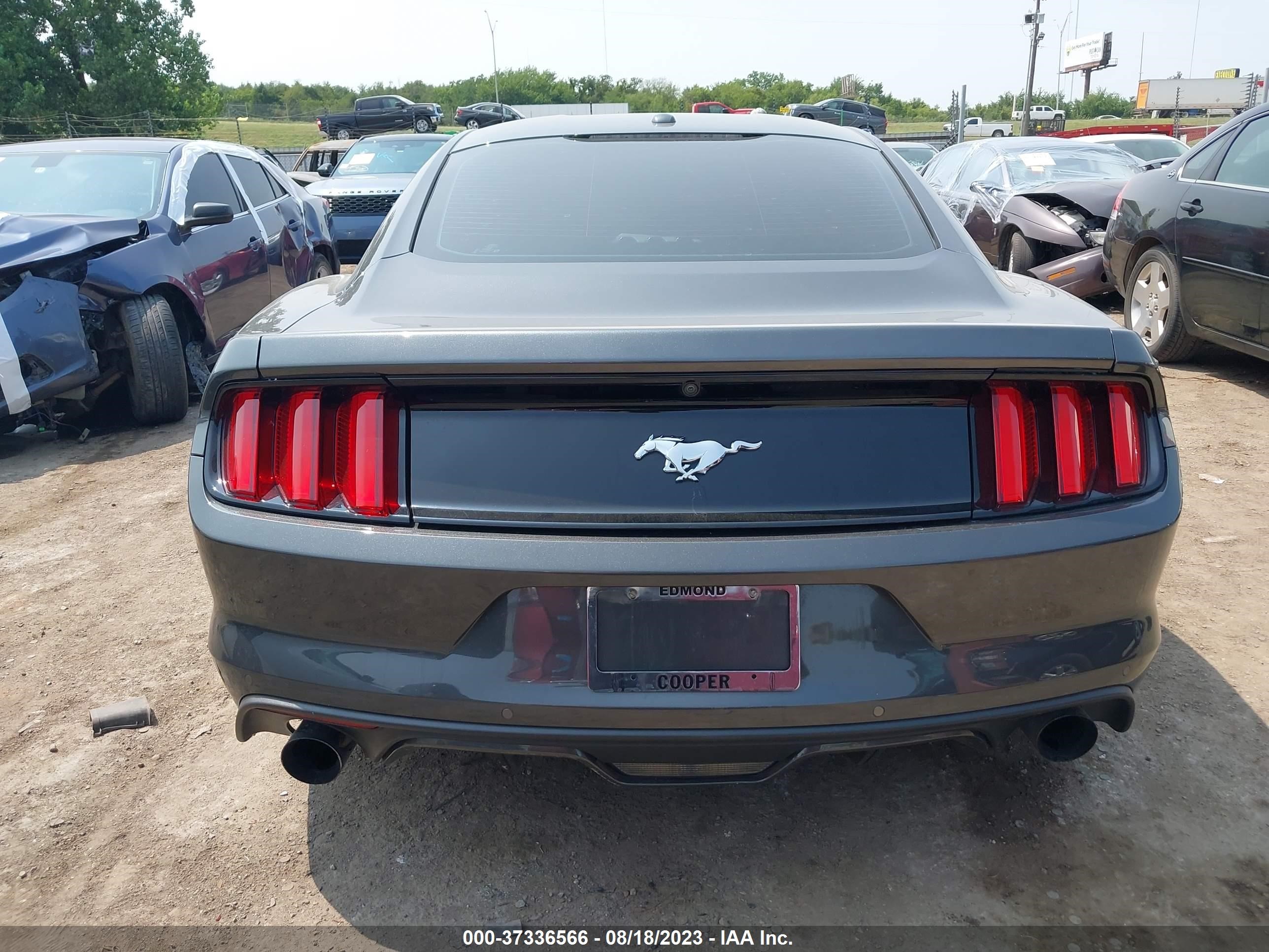 Photo 15 VIN: 1FA6P8TH4H5344070 - FORD MUSTANG 