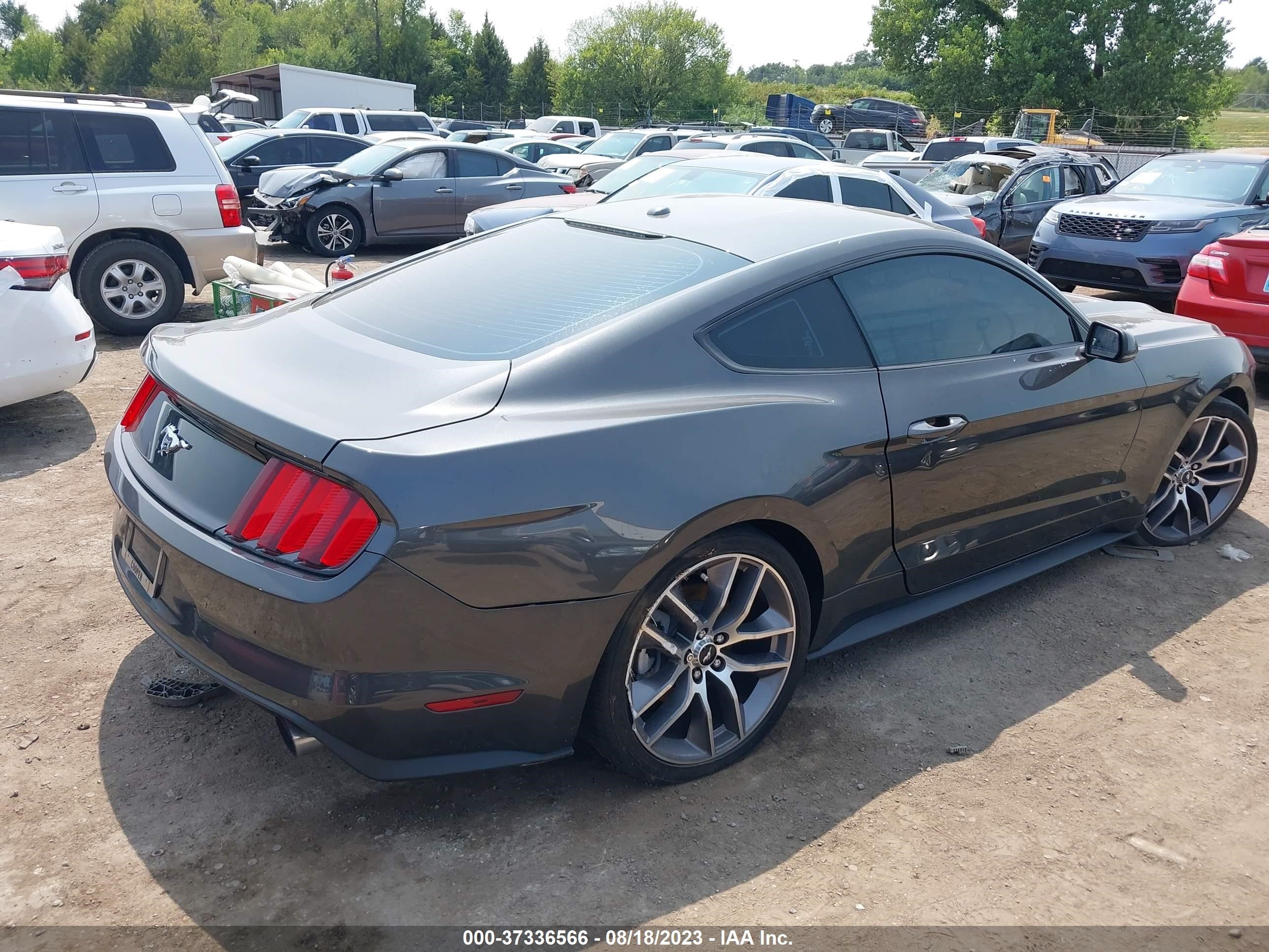 Photo 3 VIN: 1FA6P8TH4H5344070 - FORD MUSTANG 