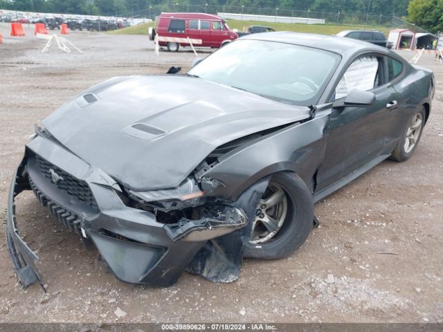 Photo 1 VIN: 1FA6P8TH4K5103567 - FORD MUSTANG 