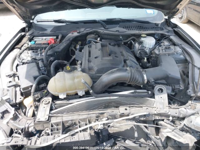 Photo 9 VIN: 1FA6P8TH4K5125200 - FORD MUSTANG 