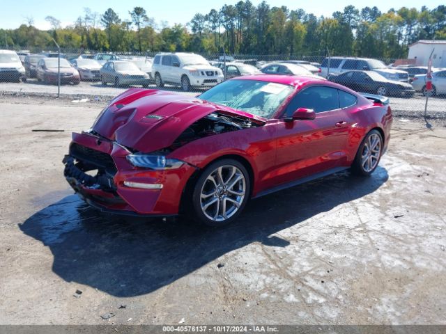 Photo 1 VIN: 1FA6P8TH4K5129814 - FORD MUSTANG 