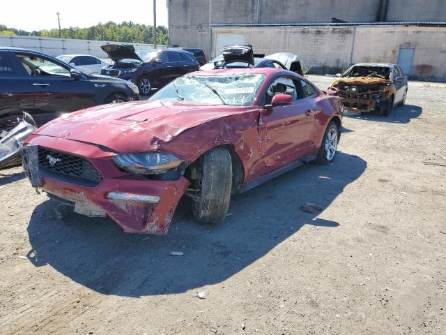 Photo 1 VIN: 1FA6P8TH4K5152588 - FORD MUSTANG 