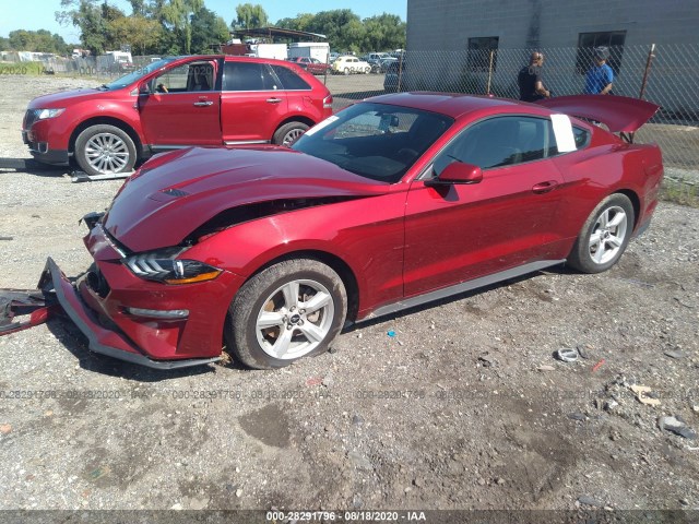 Photo 1 VIN: 1FA6P8TH4K5173294 - FORD MUSTANG 