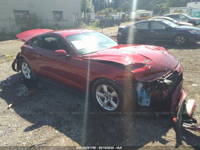 Photo 5 VIN: 1FA6P8TH4K5173294 - FORD MUSTANG 