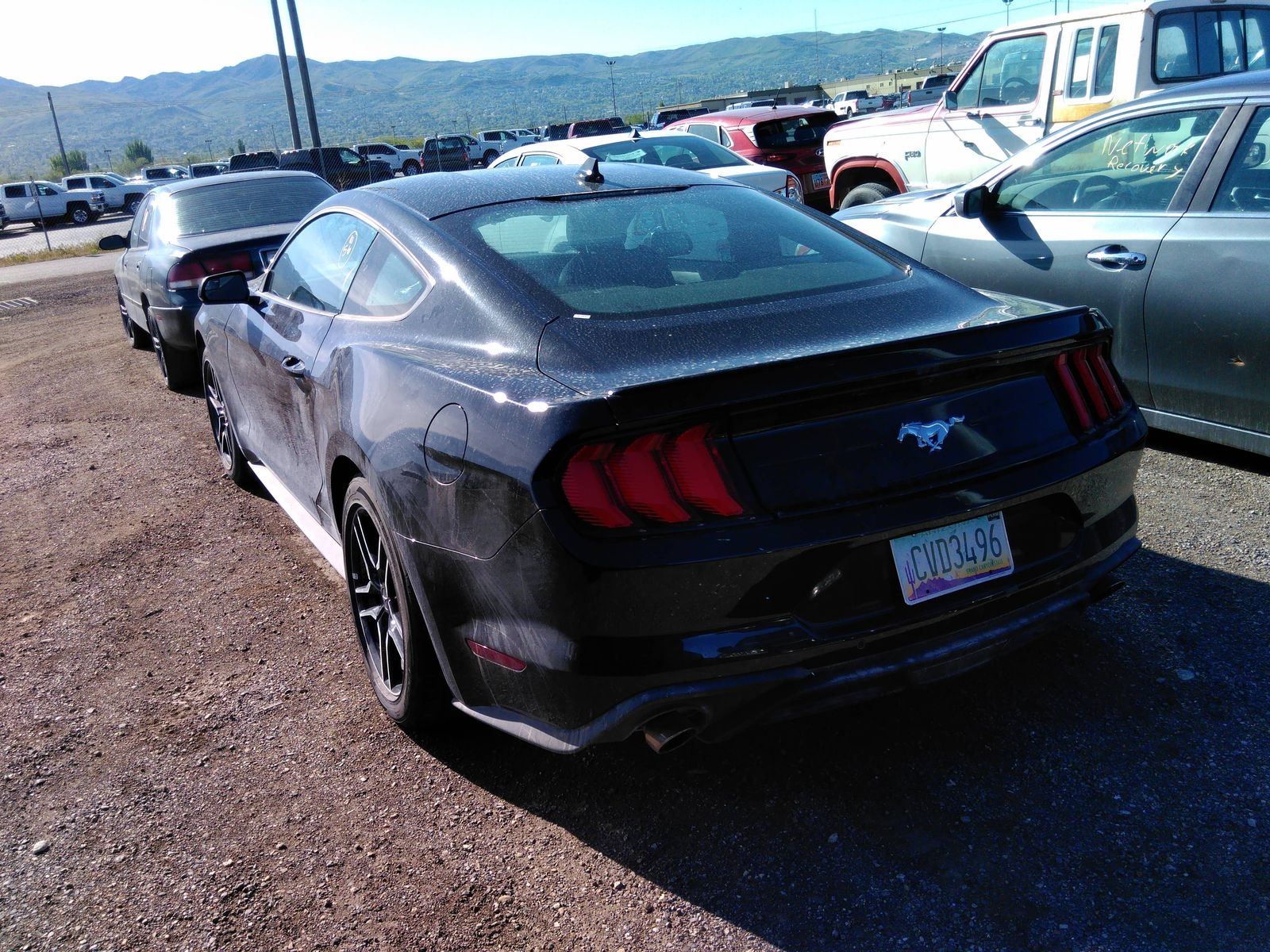 Photo 7 VIN: 1FA6P8TH4L5137025 - FORD MUSTANG 4C CPE 