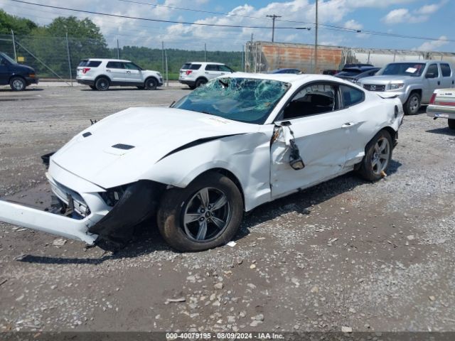 Photo 1 VIN: 1FA6P8TH4L5149353 - FORD MUSTANG 