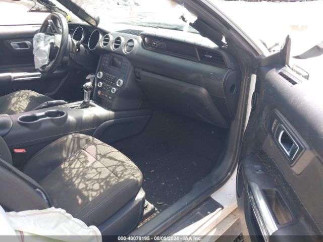 Photo 4 VIN: 1FA6P8TH4L5149353 - FORD MUSTANG 