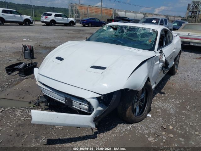 Photo 5 VIN: 1FA6P8TH4L5149353 - FORD MUSTANG 