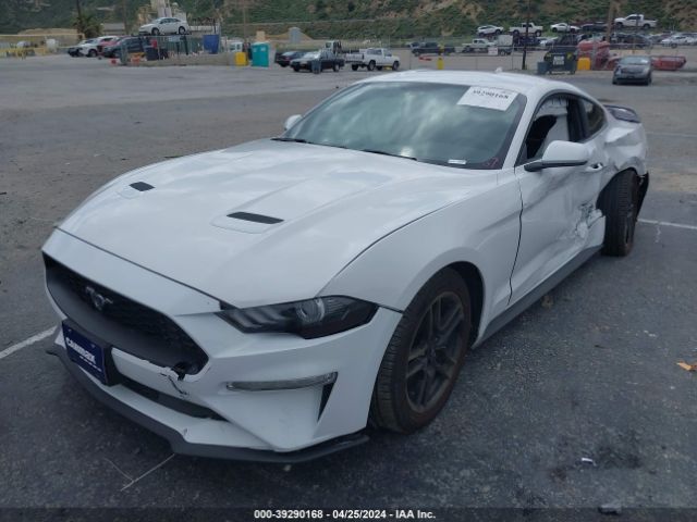 Photo 1 VIN: 1FA6P8TH4L5179257 - FORD MUSTANG 