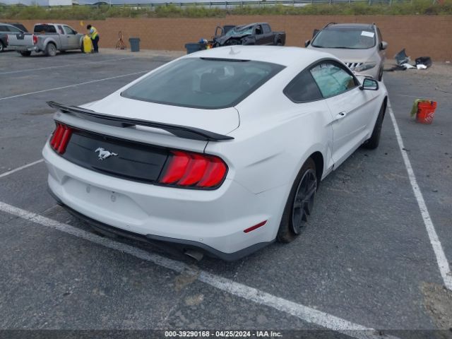 Photo 3 VIN: 1FA6P8TH4L5179257 - FORD MUSTANG 