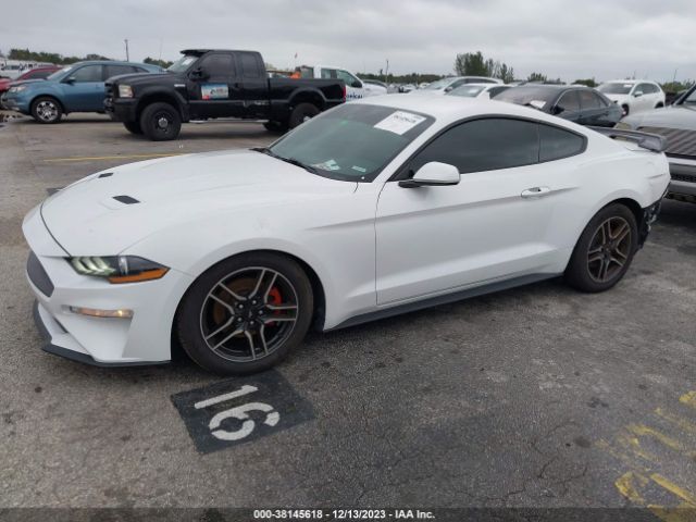 Photo 1 VIN: 1FA6P8TH4M5106777 - FORD MUSTANG 