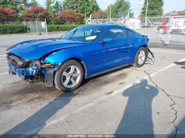 Photo 1 VIN: 1FA6P8TH4M5149743 - FORD MUSTANG 