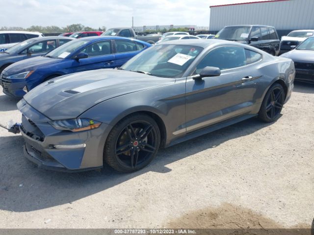 Photo 1 VIN: 1FA6P8TH4N5128750 - FORD MUSTANG 