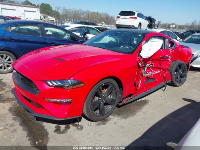 Photo 1 VIN: 1FA6P8TH4N5141823 - FORD MUSTANG 