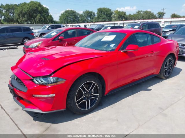 Photo 1 VIN: 1FA6P8TH4P5105200 - FORD MUSTANG 