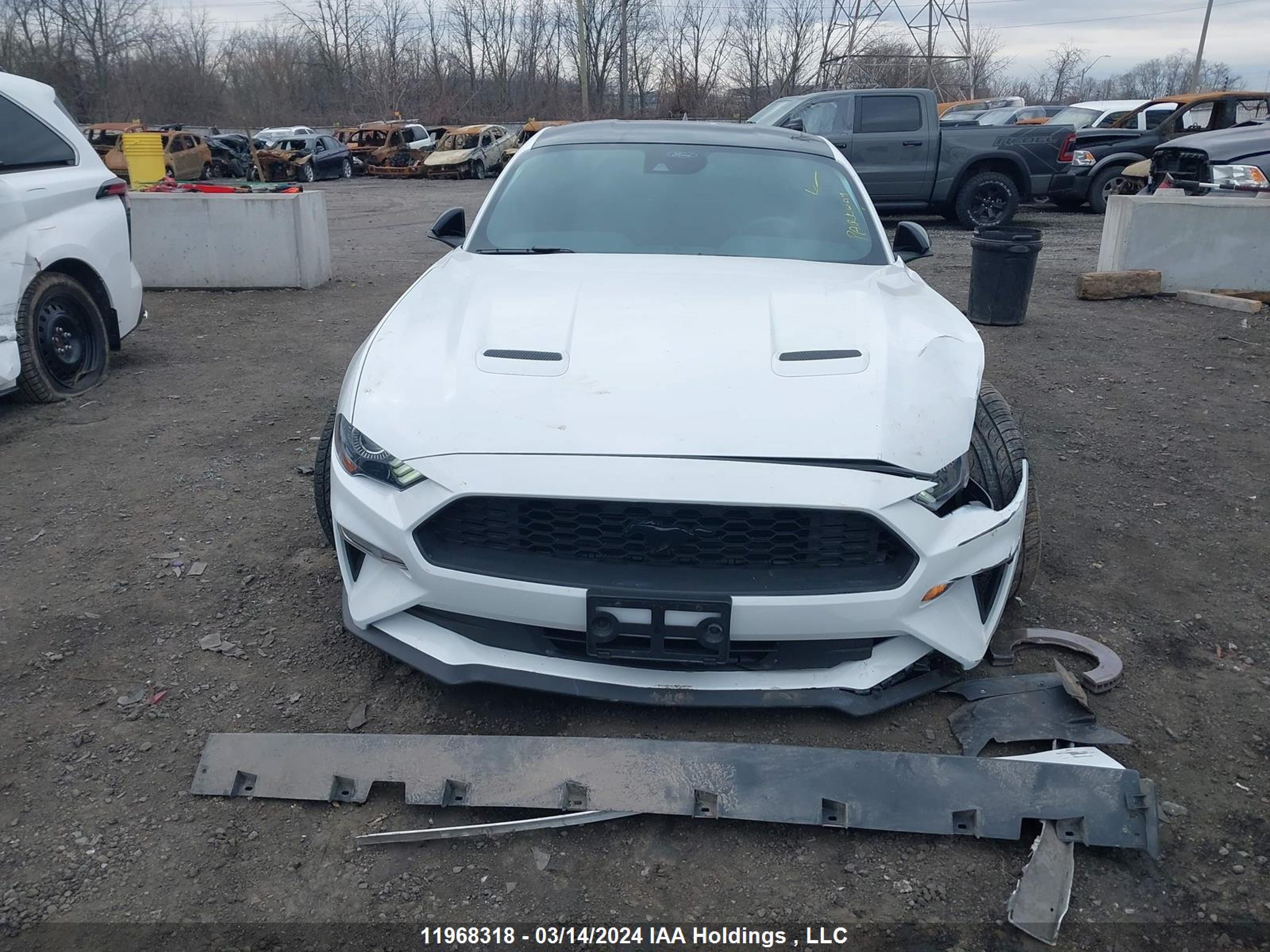 Photo 12 VIN: 1FA6P8TH4P5113183 - FORD MUSTANG 